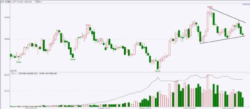 春節(jié)假期開市預(yù)測報(bào)告 農(nóng)畜產(chǎn)品板塊商品現(xiàn)貨銷售展望